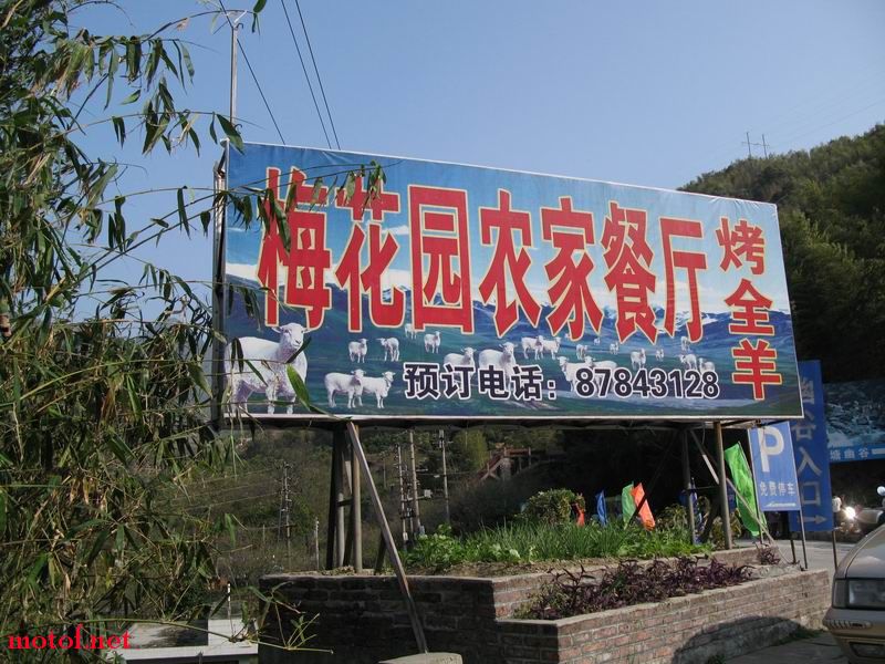 2008110154995987.jpg
