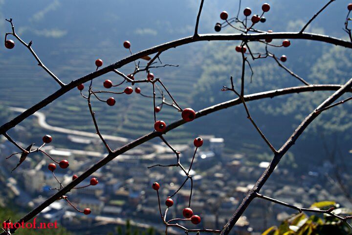 040709fengjing06.jpg