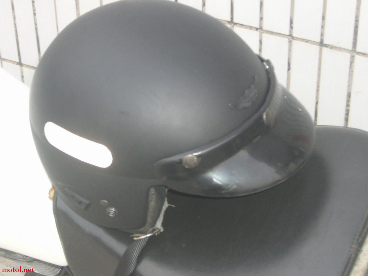 CIMG0217.JPG