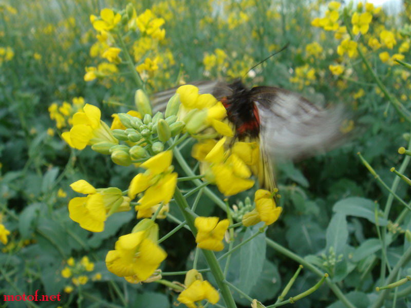 DSC00456_调整大小.JPG