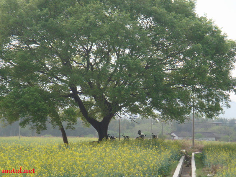 DSC00470_调整大小.JPG