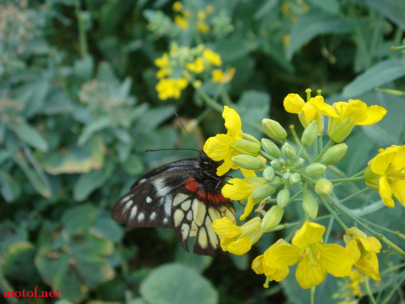 DSC00460_调整大小.JPG