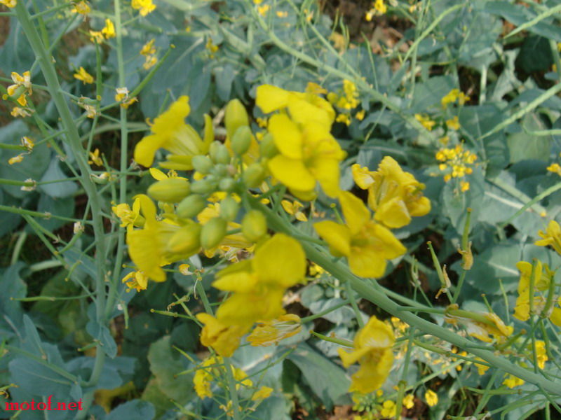 DSC00467_调整大小.JPG