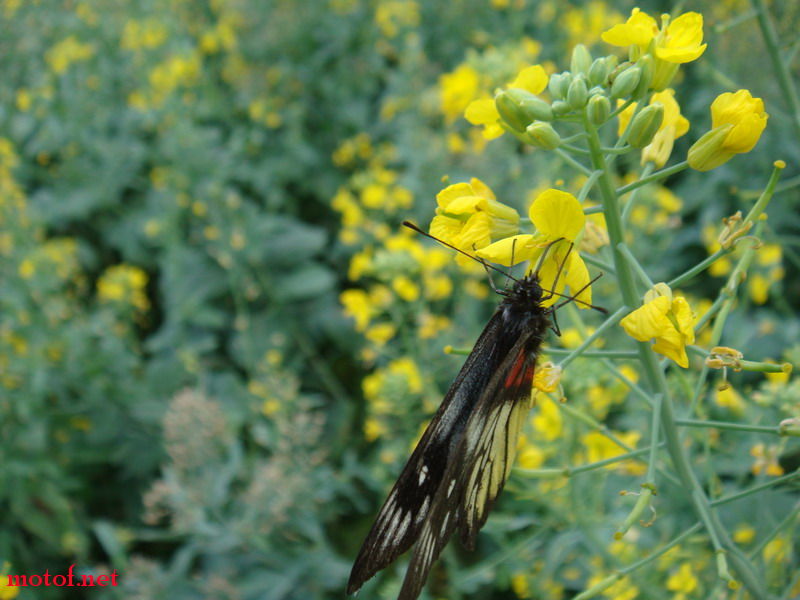 DSC00457_调整大小.JPG