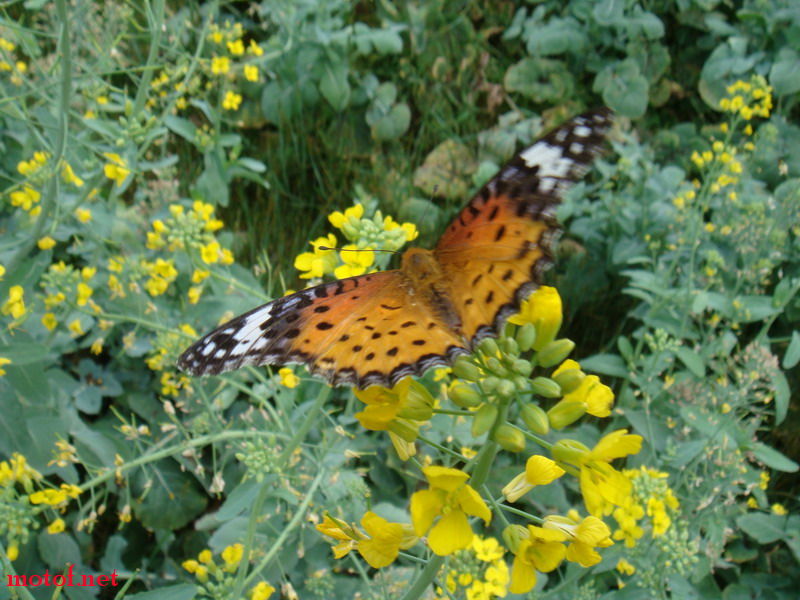 DSC00459_调整大小.JPG