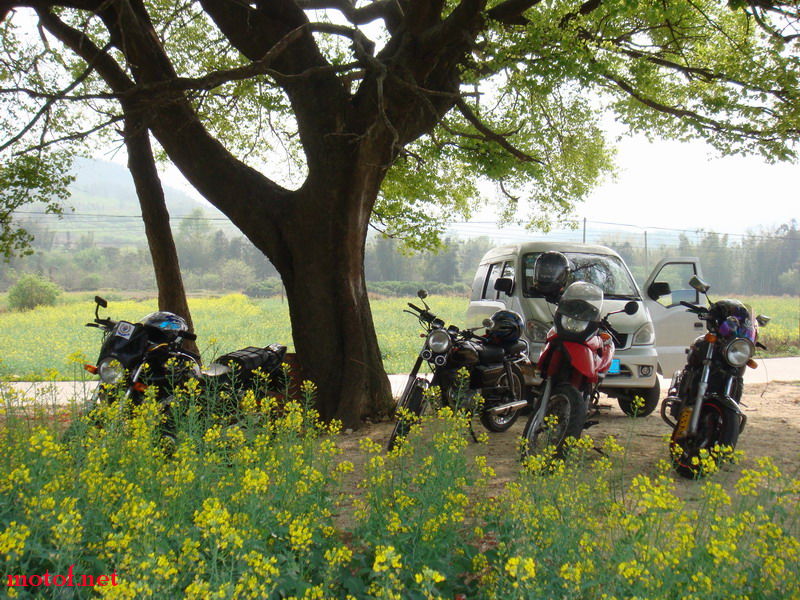 DSC00478_调整大小.JPG