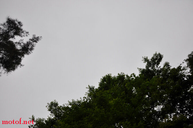 DSC_0086.jpg