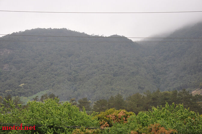 DSC_0099.jpg