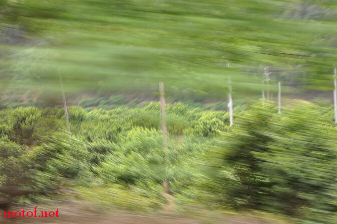 DSC_0220.jpg