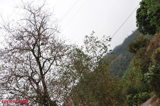 DSC_0072.jpg