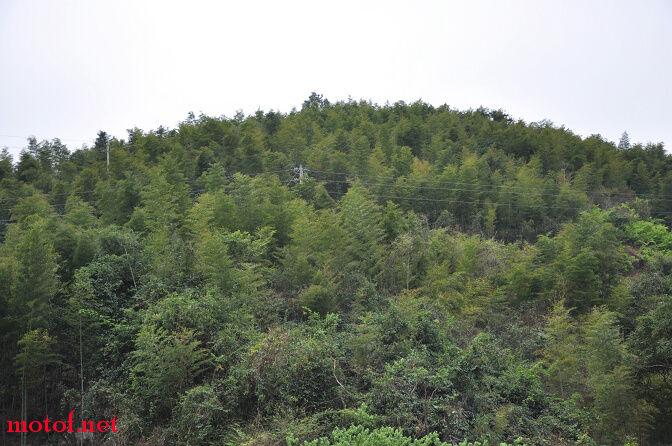 DSC_0140.jpg