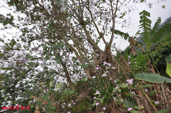 DSC_0070.jpg