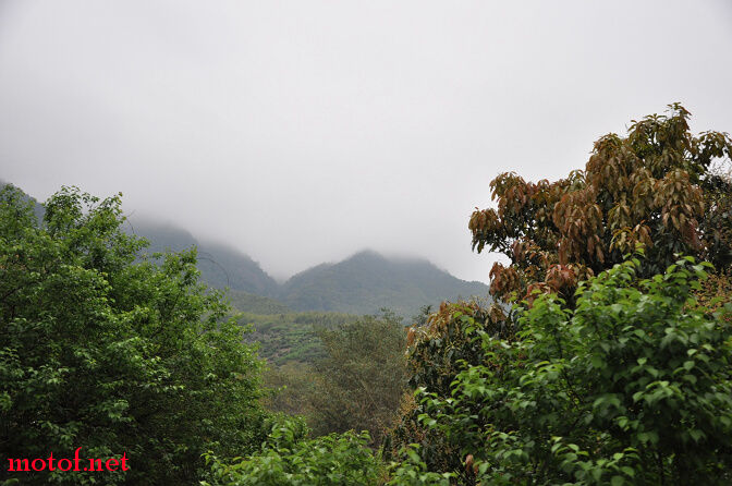 DSC_0203.jpg