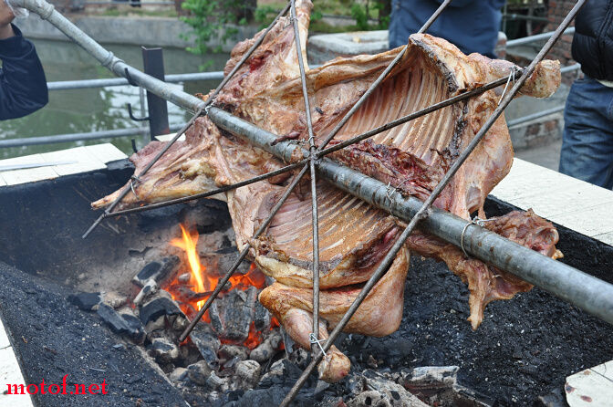 DSC_0135.jpg