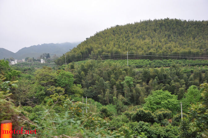 DSC_0217.jpg