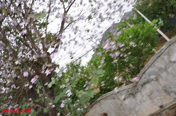 DSC_0074.jpg