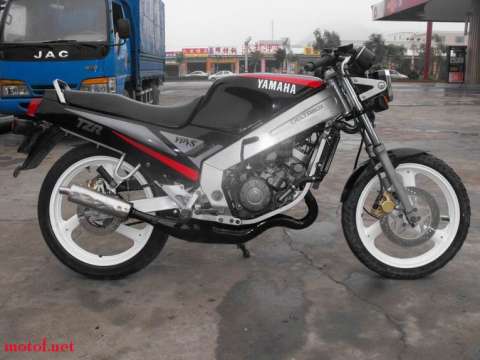 雅马哈TZR125