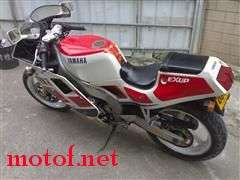 FZRR250