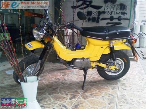 金城查理