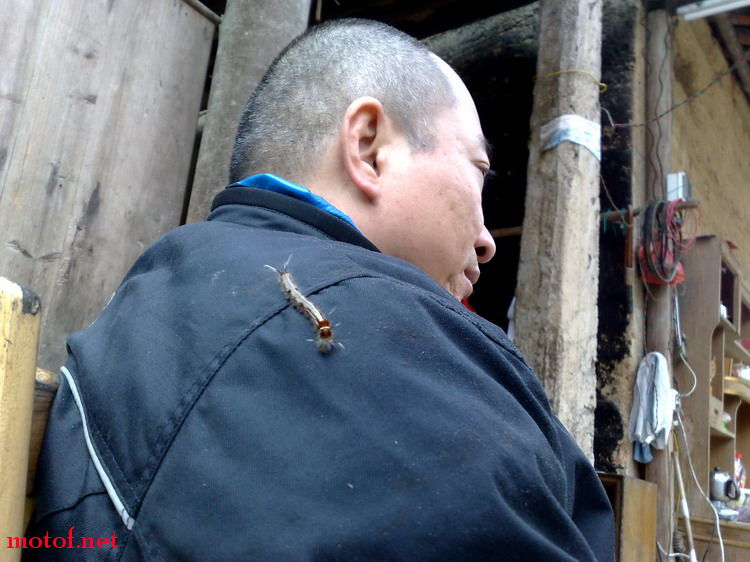 20090308176_缩小大小.jpg