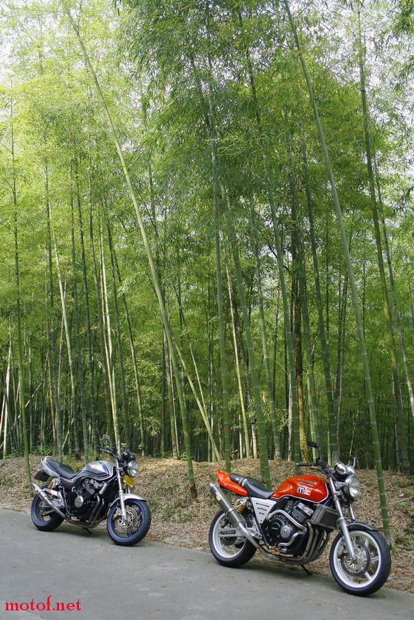 _MG_7518.jpg