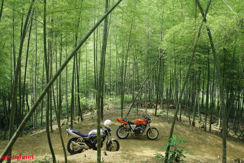 _MG_7593.jpg
