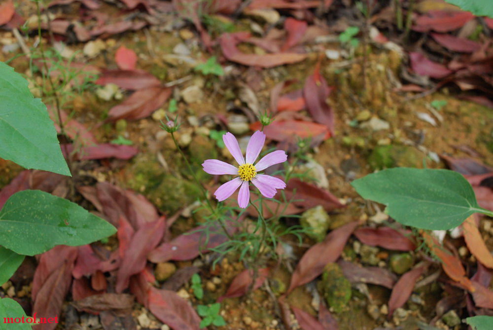 DSC_0224.jpg