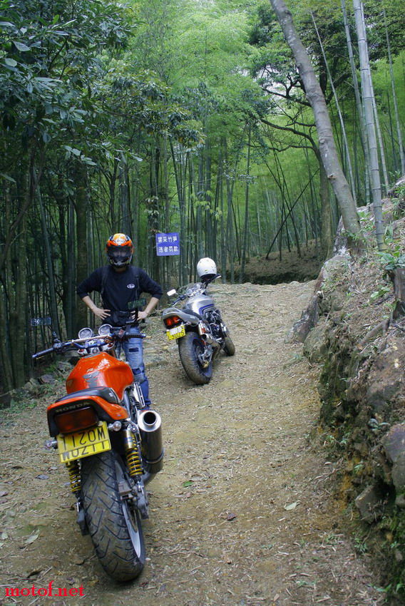 _MG_7581.jpg