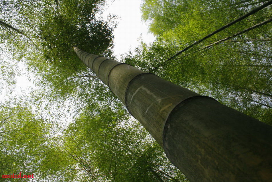 _MG_7597.jpg