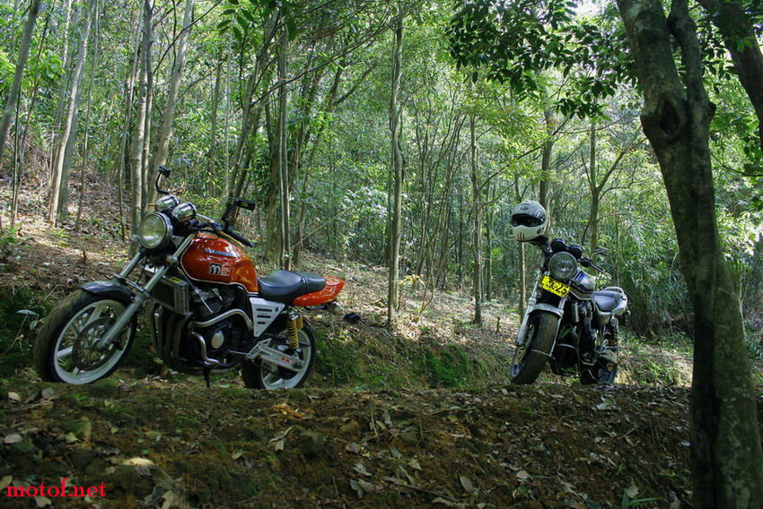_MG_7579.jpg