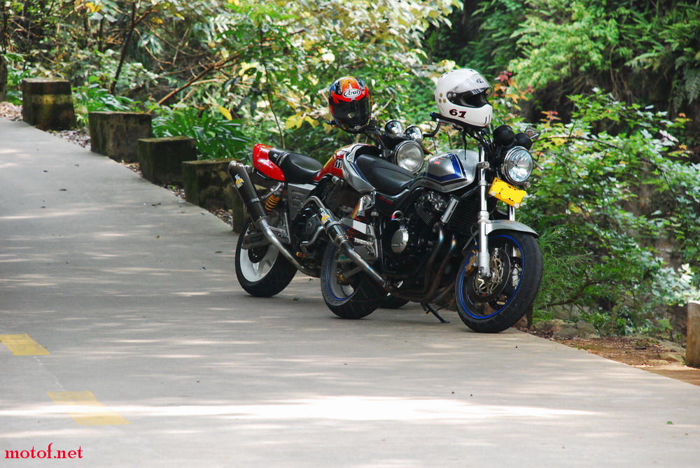 DSC_0250.jpg