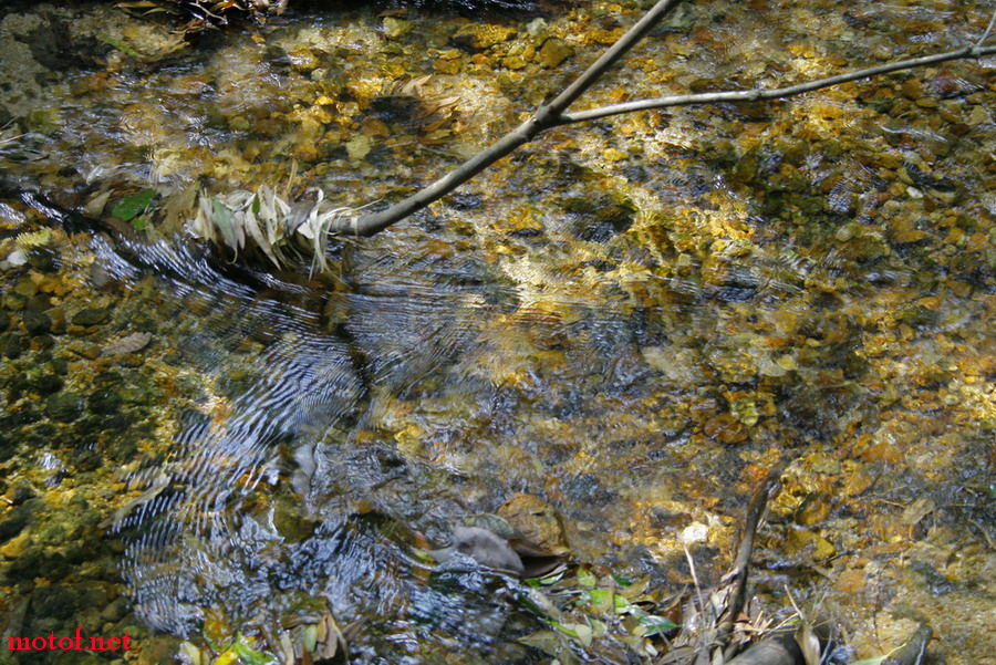 _MG_7578.jpg