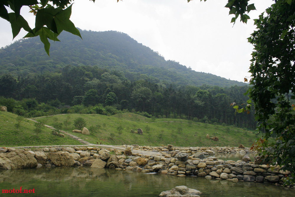 _MG_7601.jpg