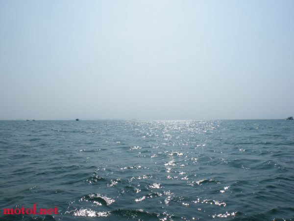 胸襟广阔的大海,我们进入了你的怀抱