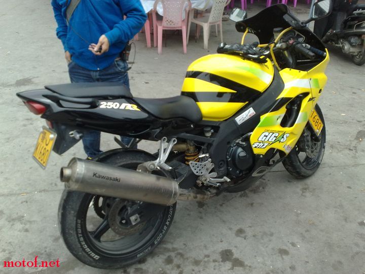 20090503236.jpg