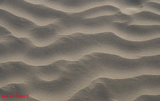 DSC_0320.JPG