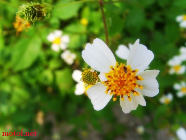PIC_0768.jpg