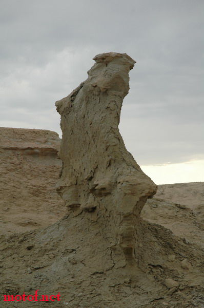 544.JPG