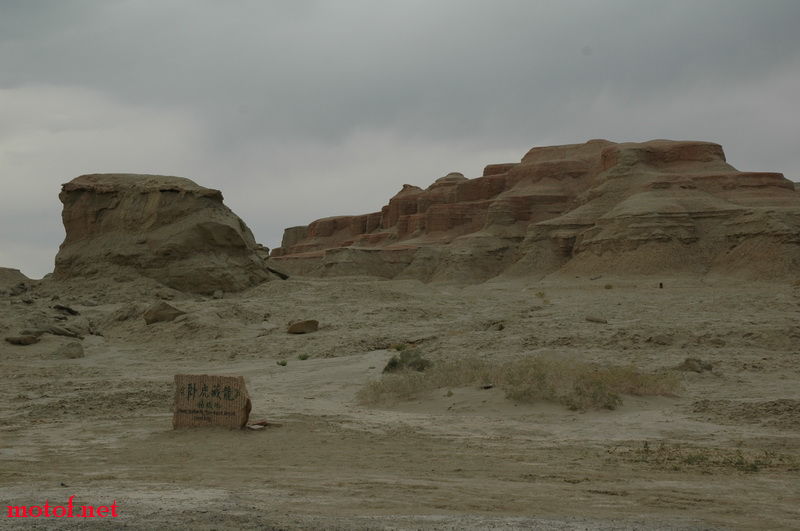 547.JPG