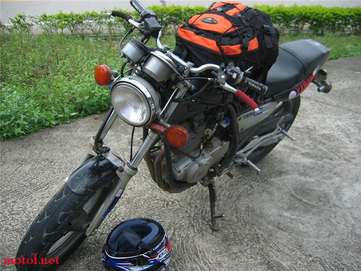 IMG_8287.jpg