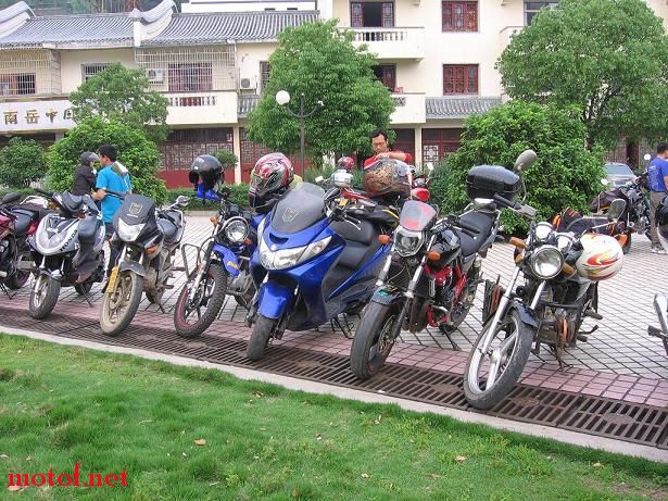 融入其中.JPG