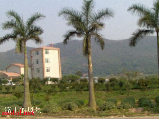 路上风景.jpg