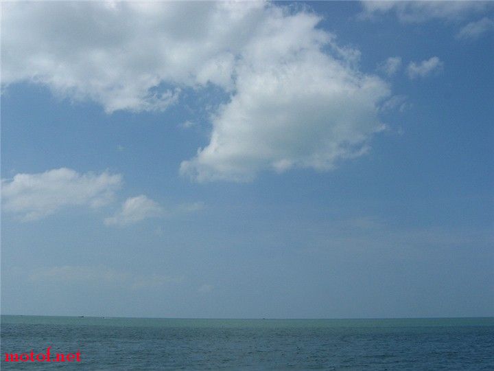 IMG_8383.jpg