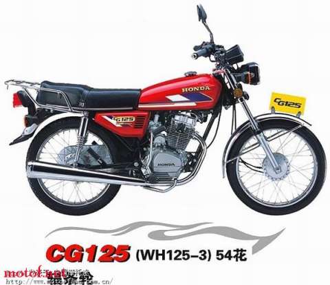 珠海斗门2800出本田花猫