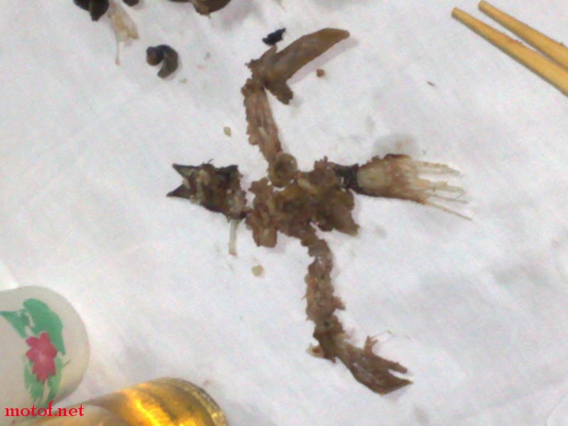 20090511497.jpg