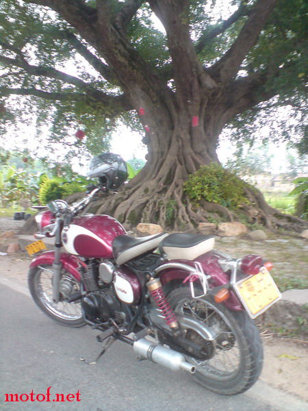 DSC00464_调整大小.JPG