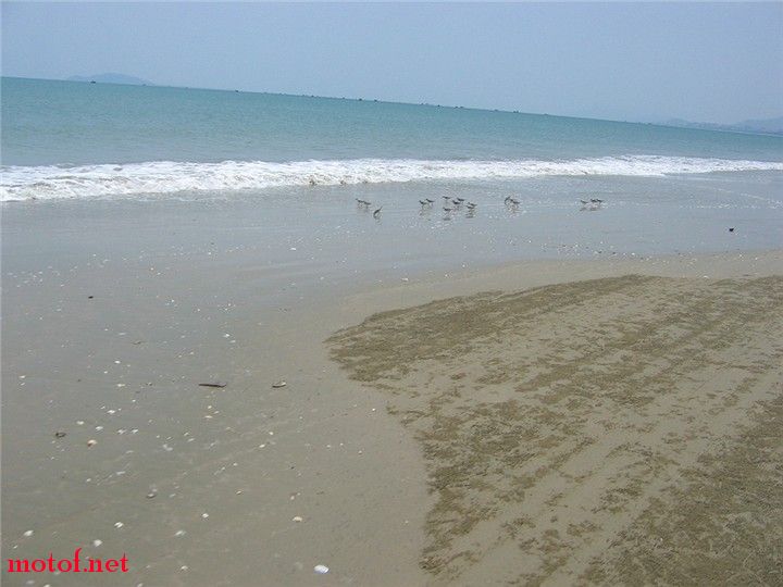 IMG_8607.jpg