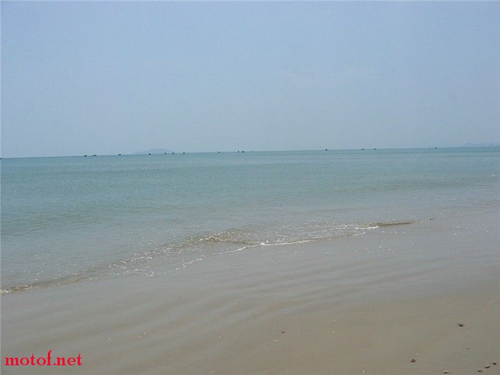 IMG_8605.jpg
