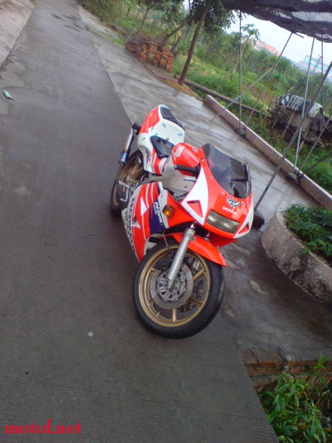 DSC00303.JPG