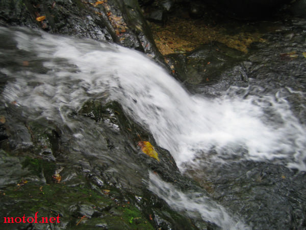 IMG_9864.jpg